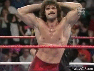Image result for rick rude gif
