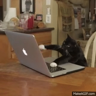 Hacker cat on Make a GIF