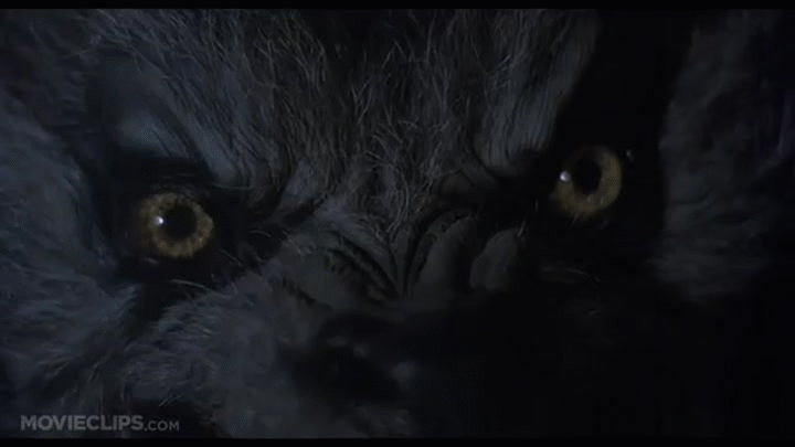 An American Werewolf In London 10 10 Movie Clip Let Me Help You 1981 Hd On Make A Gif
