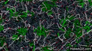 Generative Microstructure Gif Micelle formation through molecular self-assembly on Make a GIF