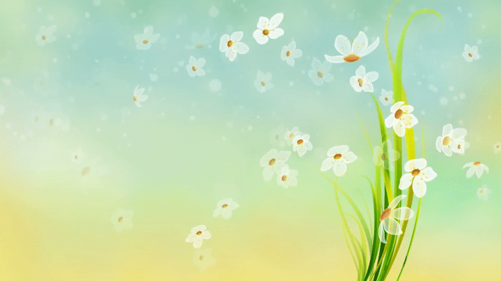 Video Background HD - Flower HD - Style Proshow  on Make  a GIF