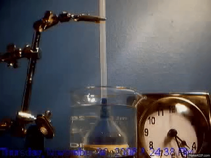 Osmosis Experiment on Make a GIF Osmosis Experiment on Make a GIF
