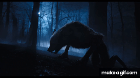 Weerwolf Transformatie Gif I m Making A Video For Halloween This Is
