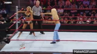 WWE Superstars: Kelly Kelly vs. Jillian on Make a GIF