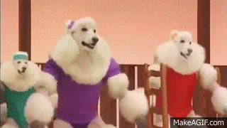 dancing poodle gif