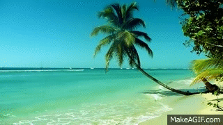 Calming Ocean Waves Tobago on Make a GIF