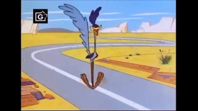 Road Runner Cartoon Gif Road Runner Cartoon Gif