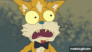 NMZOTY.gif