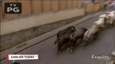 1dy5to.gif