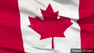 Realistic 3D Seamless Looping Canada Flag Waving In The Wind.. Stock  Footage on Make a GIF