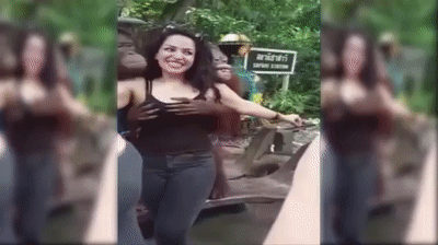 Hilarious moment pervy orangutan grabs tourists breasts during…