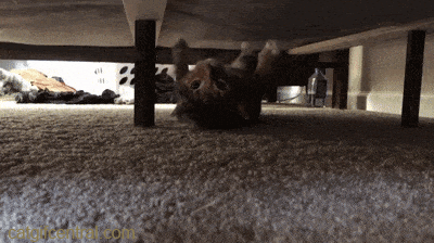 The Monster Under My Bed on Make a GIF