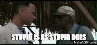 Forrest Gump Stupid Is As Stupid Does on Make a GIF