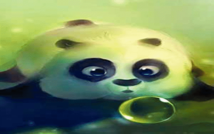 panda on Make a GIF