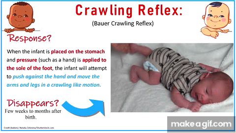 Newborn Reflexes Assessment Infant Nursing Pediatric Nclex Review On Newborn Reflexes Assessment Infant Nursing Pediatric Nclex Review On