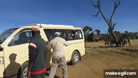 Lad sticks his head out of the minibus window as the door slides into it on  Make a GIF