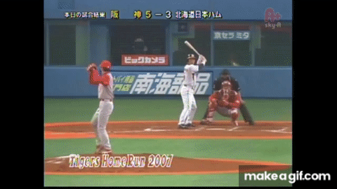 阪神タイガース 2007 ホームラン 林威助