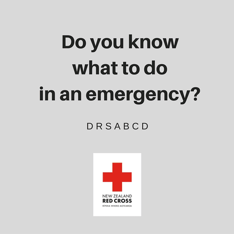 DRS ABCD with New Zealand Red Cross on Make a GIF