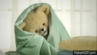 Image result for snuggle bear gif