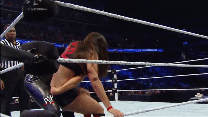 Nikki Bella vs. Aksana: photos