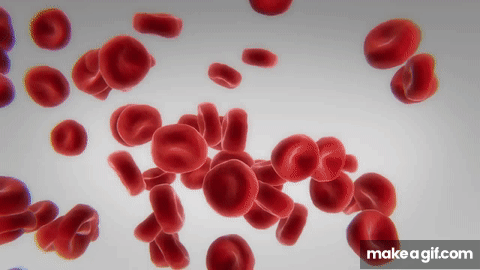Flowing Red Blood Cells on Make a GIF