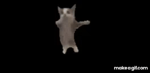 Anime Kitty Happy, dancing animes, cats happy dance 