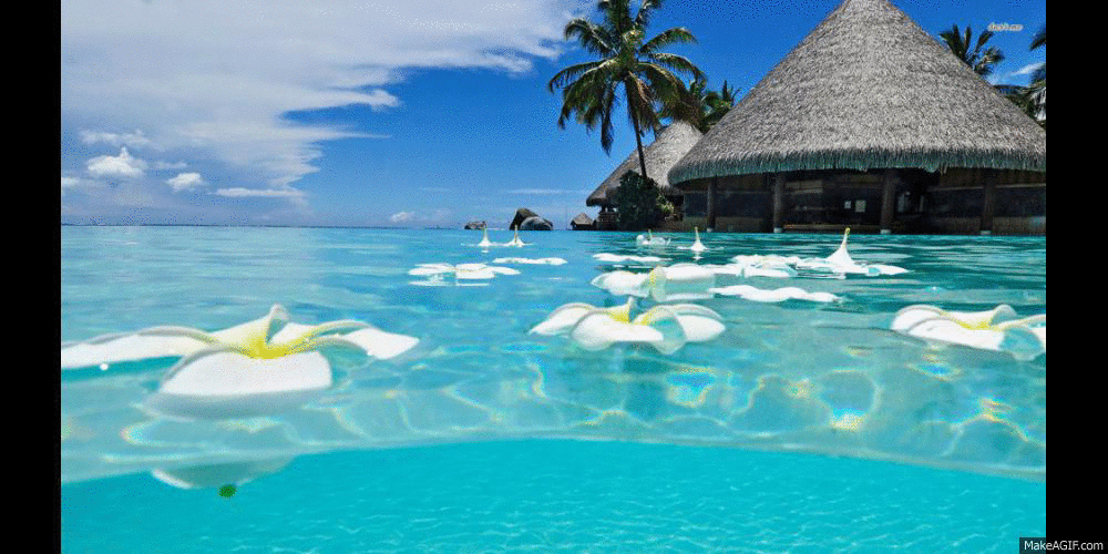 Playas de Cancún 