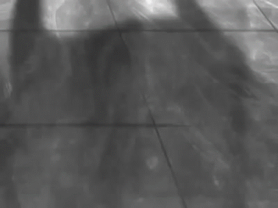 The Gazette Shiver 黒執事 Op Ver 緋露 そんな雰囲気でベース弾いてみた On Make A Gif