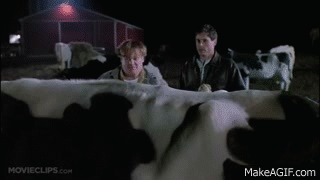 Tommy Boy (1/10) Movie CLIP - Cow Tipping (1995) HD on Make a GIF