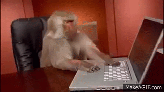 monkey work with computer on Make a GIF