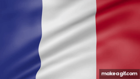 Flag France Animated Flag Gif