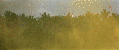 Apocalypse Now intro on Make a GIF