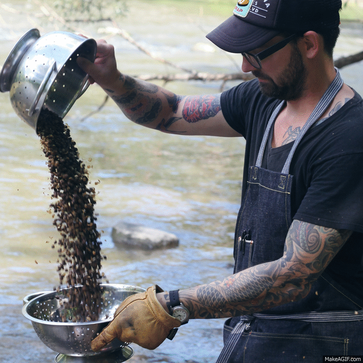 shucking coffee on Make a GIF