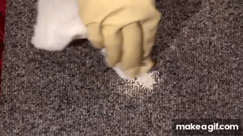 How to Remove Paint From Carpet