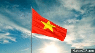 Quốc kỳ Việt Nam 3D gif: Chào mừng đến với thời đại mới! Bây giờ, bạn có thể nhìn thấy Quốc kỳ Việt Nam như chưa bao giờ thấy trước đây với gif 3D đầy sắc màu. Trải nghiệm một cách hoàn toàn mới và độc đáo để nhìn nhận vẻ đẹp của Quốc kỳ Việt Nam, một biểu tượng quan trọng của sự độc lập và tự do.