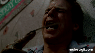 https://i.makeagif.com/media/8-04-2022/Zl50jR.gif