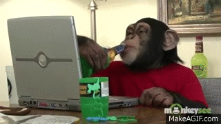 Funny Chimp Learns to Sexy Dance! on Make a GIF