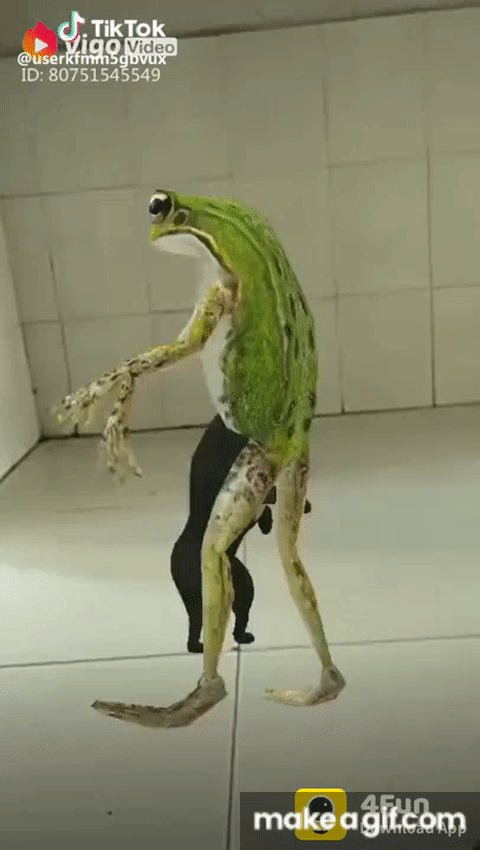 Dancing Frog Animated