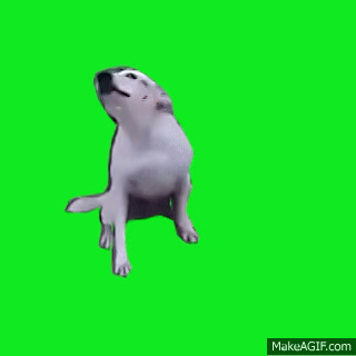 Featured image of post View 28 Dancing Dog Meme Gif Green Screen