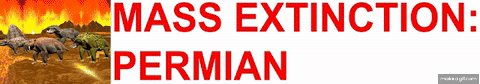 PERMIAN MASS EXTINCTION PAGE