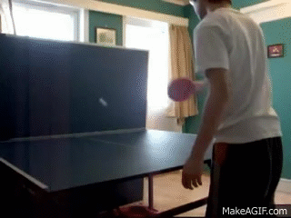 Risultati immagini per ping pong alone gif.