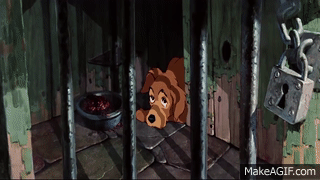 Lady And The Tramp Crying Pound