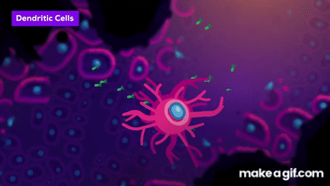 How The Immune System ACTUALLY Works – IMMUNE on Make a GIF