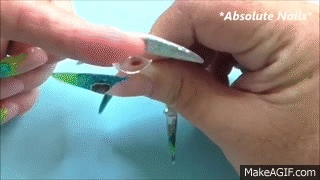 360 Dome Aquarium Nails Uñas De Acrílico Del Acuario Absolute 360 Dome Aquarium Nails Uñas De Acrílico Del Acuario Absolute