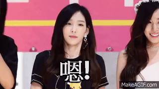170811 롯데월드몰 소녀시대 팬사인회 마무리인사 태연 직캠 SNSD TAEYEON fansign fancam by ...
