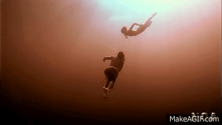 Https Encrypted Tbn0 Gstatic Com Images Q Tbn And9gct37rwe5dtdpmslimypd5ocdna C Bhnqf2sg Usqp Cau make a gif