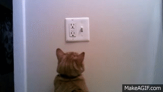 Cat turning off light on Make a GIF