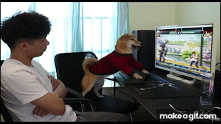 Gaming Pc Video Game Players GIF