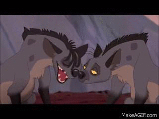 laughing hyena gif