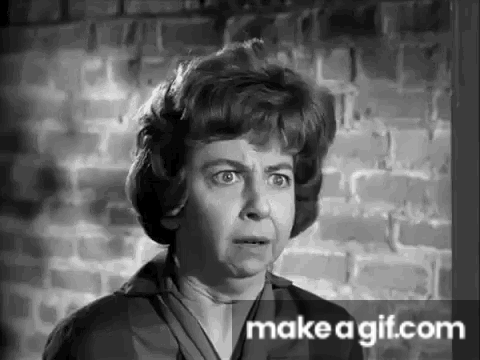 Gladys Kravitz on Make a GIF